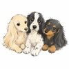 idahodoxies